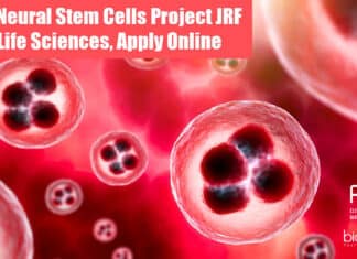 RGCB JRF Project Job