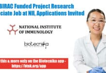 Research Project Associate Jobs