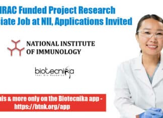 Research Project Associate Jobs