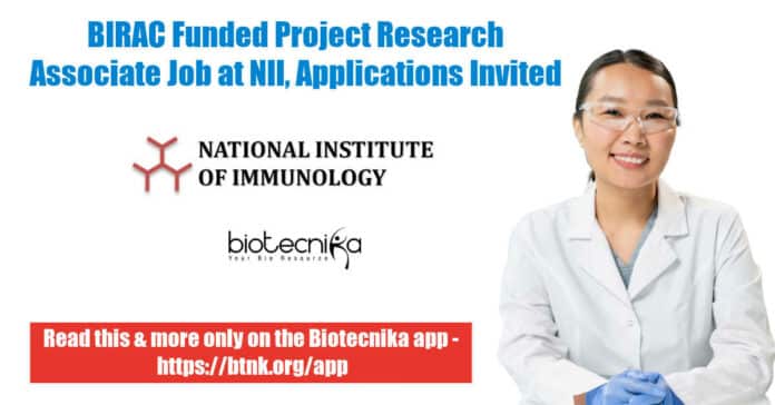 Research Project Associate Jobs