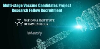Research Project Fellow Jobs