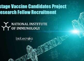 Research Project Fellow Jobs