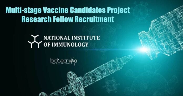 Research Project Fellow Jobs