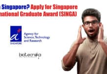 SINGA 2022