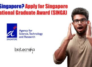 SINGA 2022