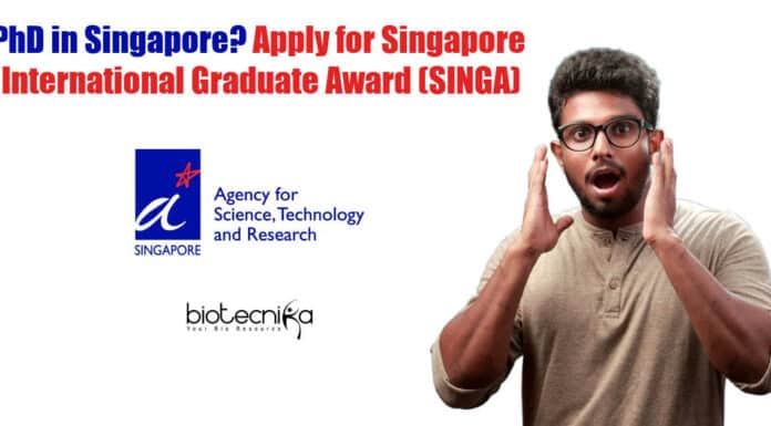 SINGA 2022