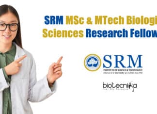SRM Institute SRF Job