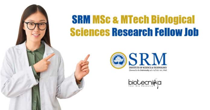 SRM Institute SRF Job