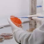 Shiv Nadar University Project Associate Recruitment, Applications Invited Shiv Nadar University Project