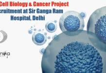 Stem Cell Biology & Cancer Project Recruitment at Sir Ganga Ram Hospital, Delhi Stem Cell Biology