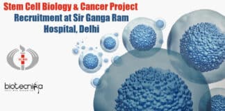 Stem Cell Biology