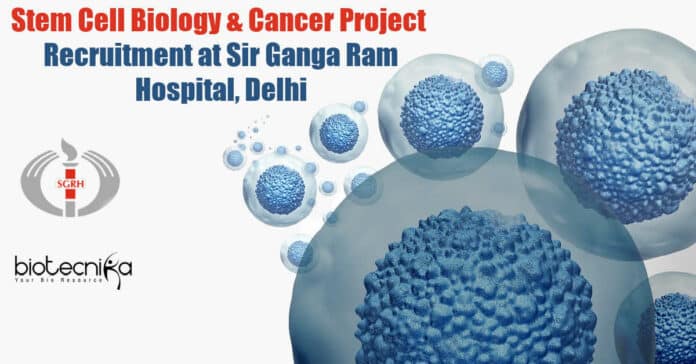 Stem Cell Biology