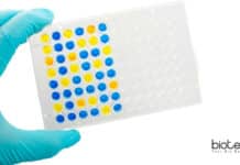 Syngene Pharmacokinetics & Immunogenicity Assays Research Associate Syngene Research Associate Pharmacokinetics