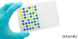Syngene Research Associate Pharmacokinetics