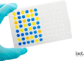 Syngene Research Associate Pharmacokinetics