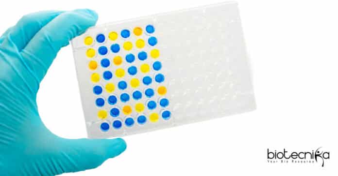 Syngene Research Associate Pharmacokinetics