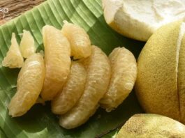 Tezpur University Food Technology