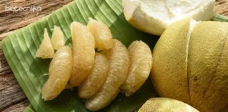 Tezpur University Food Technology