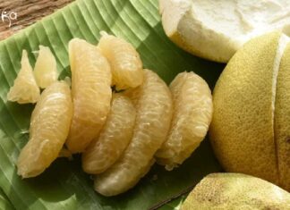Tezpur University Food Technology