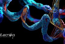 Thermo Fisher Scientific Jobs For MSc & PhD – Online Application Process Thermo Fisher Scientific