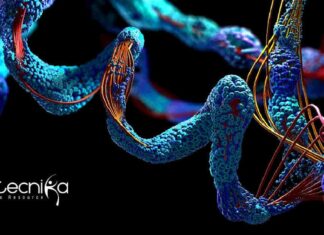 Thermo Fisher Scientific