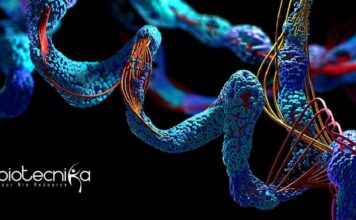 Thermo Fisher Scientific