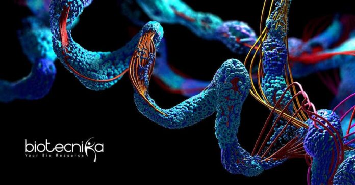 Thermo Fisher Scientific