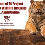 WII Project Personnel Recruitment