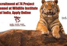 Recruitment of 74 Project Personnel at Wildlife Institute of India, Apply Online WII Project Personnel Recruitment