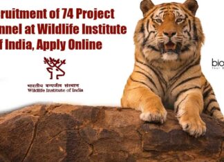 WII Project Personnel Recruitment