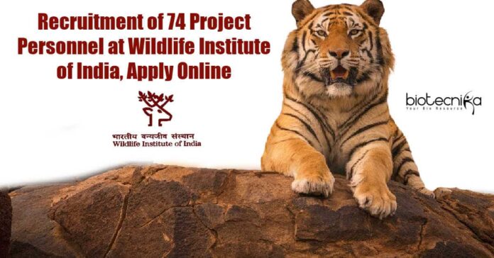 WII Project Personnel Recruitment