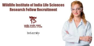 WII SRF Job Opening