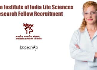 WII SRF Job Opening