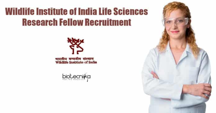 WII SRF Job Opening