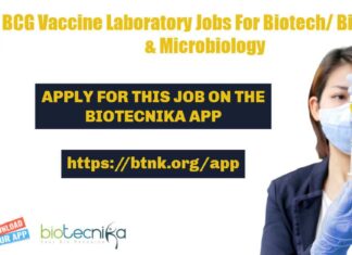 BCG Vaccine Laboratory Jobs
