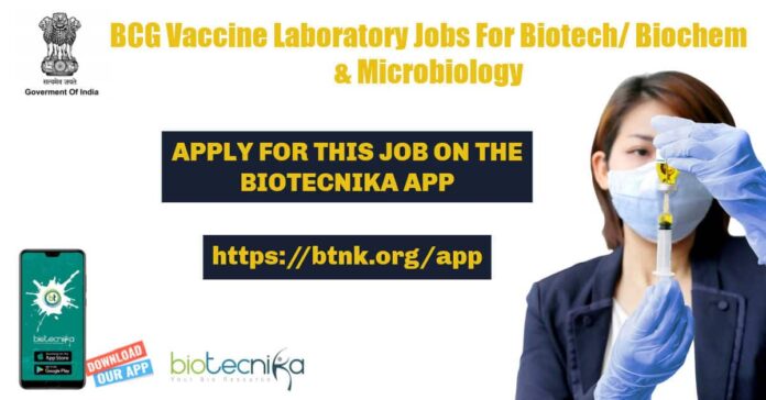 BCG Vaccine Laboratory Jobs