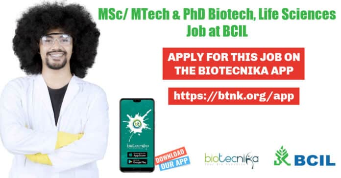 BCIL Jobs