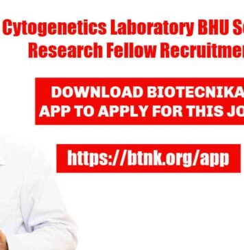 BHU SRF Job Opening