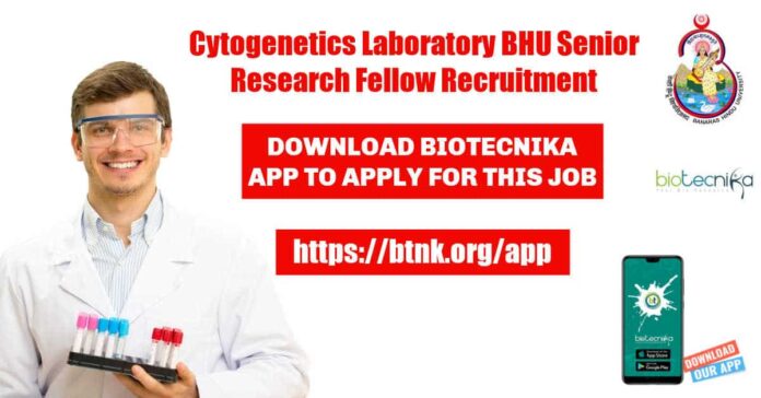 BHU SRF Job Opening