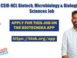 CSIR-NCL Project Jobs