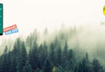 Govt ICFRE-FRI Research Fellow Recruitment, Attend Walk-In-Interview ICFRE Forest Research Institute