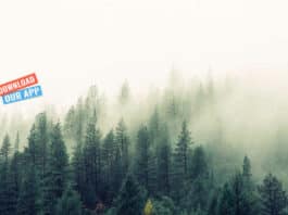 ICFRE Forest Research Institute