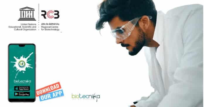 BTech Project Jobs