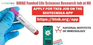 NII Associate Job