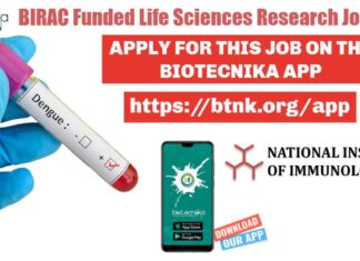 NII Associate Job