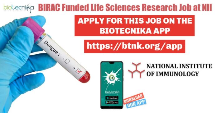 NII Associate Job