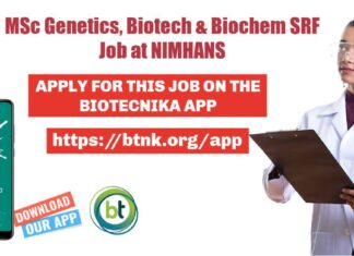 NIMHANS Fellow Jobs