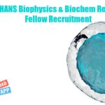 NIMHANS Biophysics & Biochem Research Fellow Recruitment NIMHANS Job Research Fellow