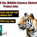 WII Project Vacancies