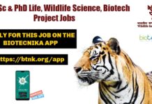 Tiger Monitoring Project Recruitment With Rs. 56,000 pm Pay at WII WII Project Vacancies
